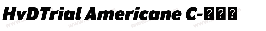 HvDTrial Americane C字体转换